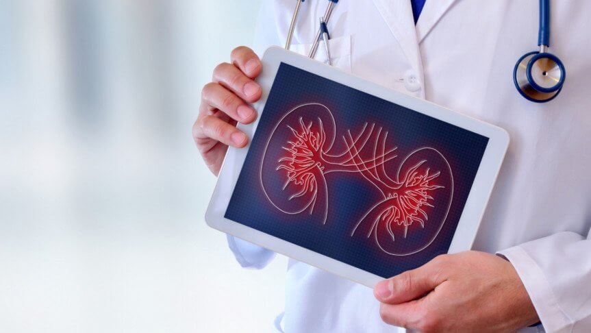 কিডনি ভালো রাখতে খান এই ৫ খাবার 2