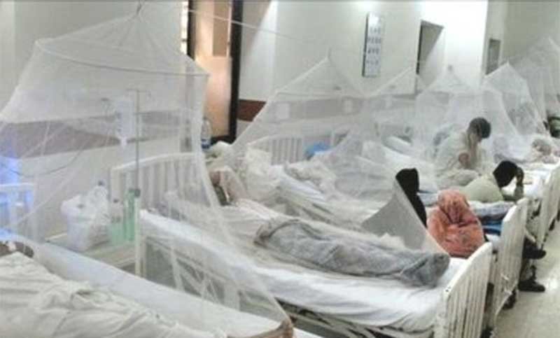 215734dengue hospital 2 1