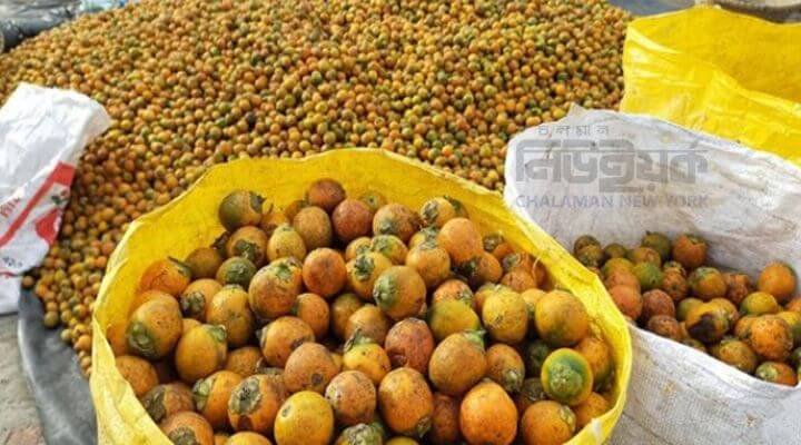 Bumper yield of betel in Lakshmipur 1