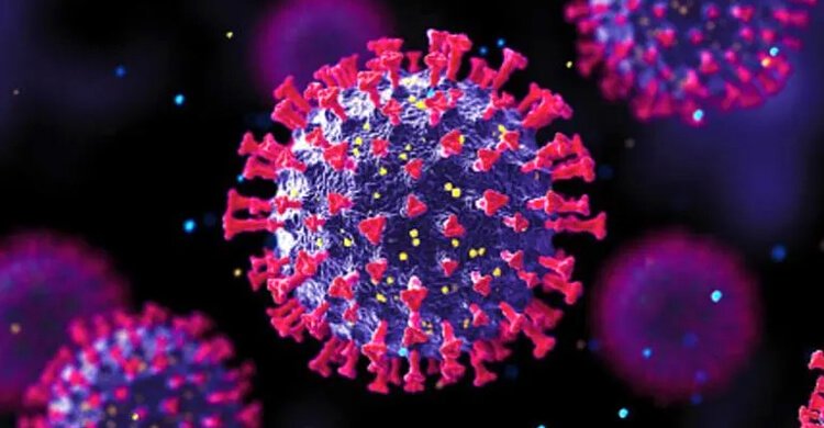 corona file 20211129221309 1