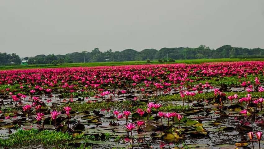 received 422313779296355 1