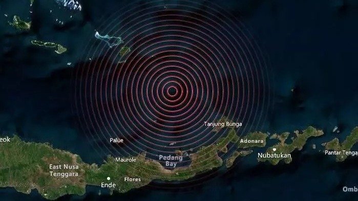 WhatsApp Image 2021 12 14 at 3.46.24 PM