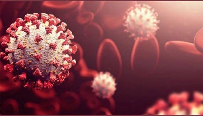 Chalaman New York 4 1