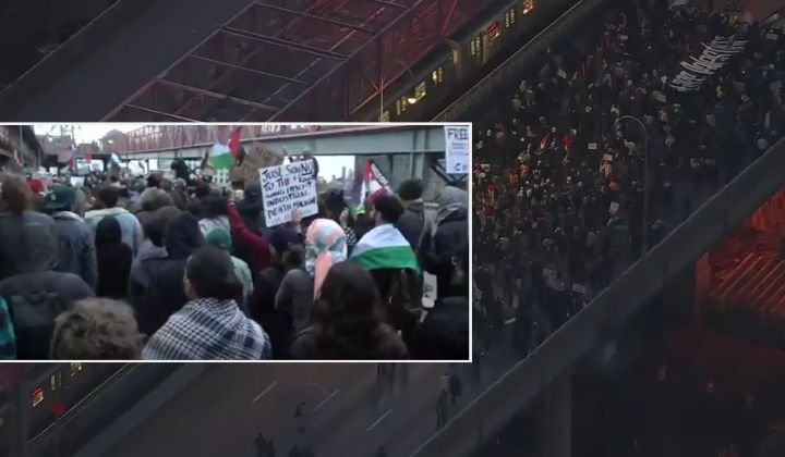 নিউইয়র্কে