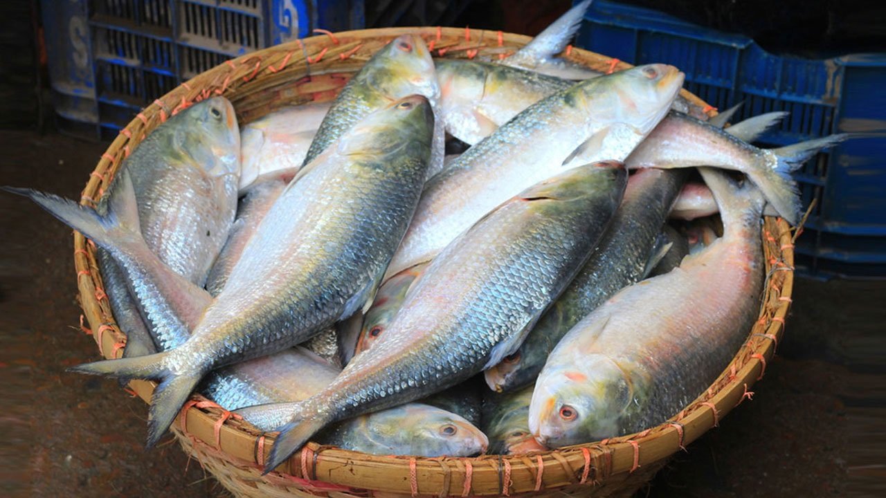 হৃদরোগ
