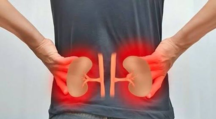 কিডনি
